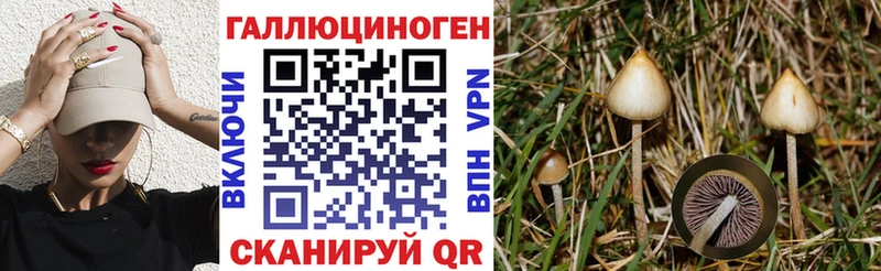 Галлюциногенные грибы GOLDEN TEACHER  Барабинск 